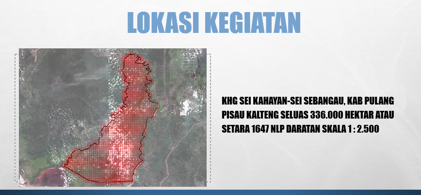 Akuisisi Data dan Pemetaan Gambut  di Wilayah Kabupaten Pulang Pisau, Provinsi Kalimantan Tengah